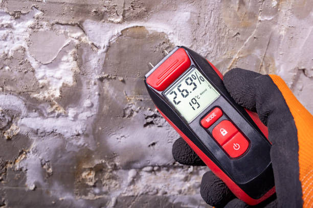 Best Mold Testing  in Gainesville, TX