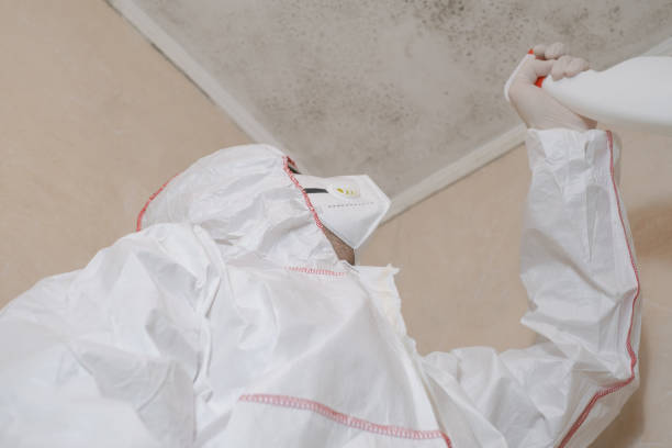 Best Mold Cleaning Services  in Gainesville, TX